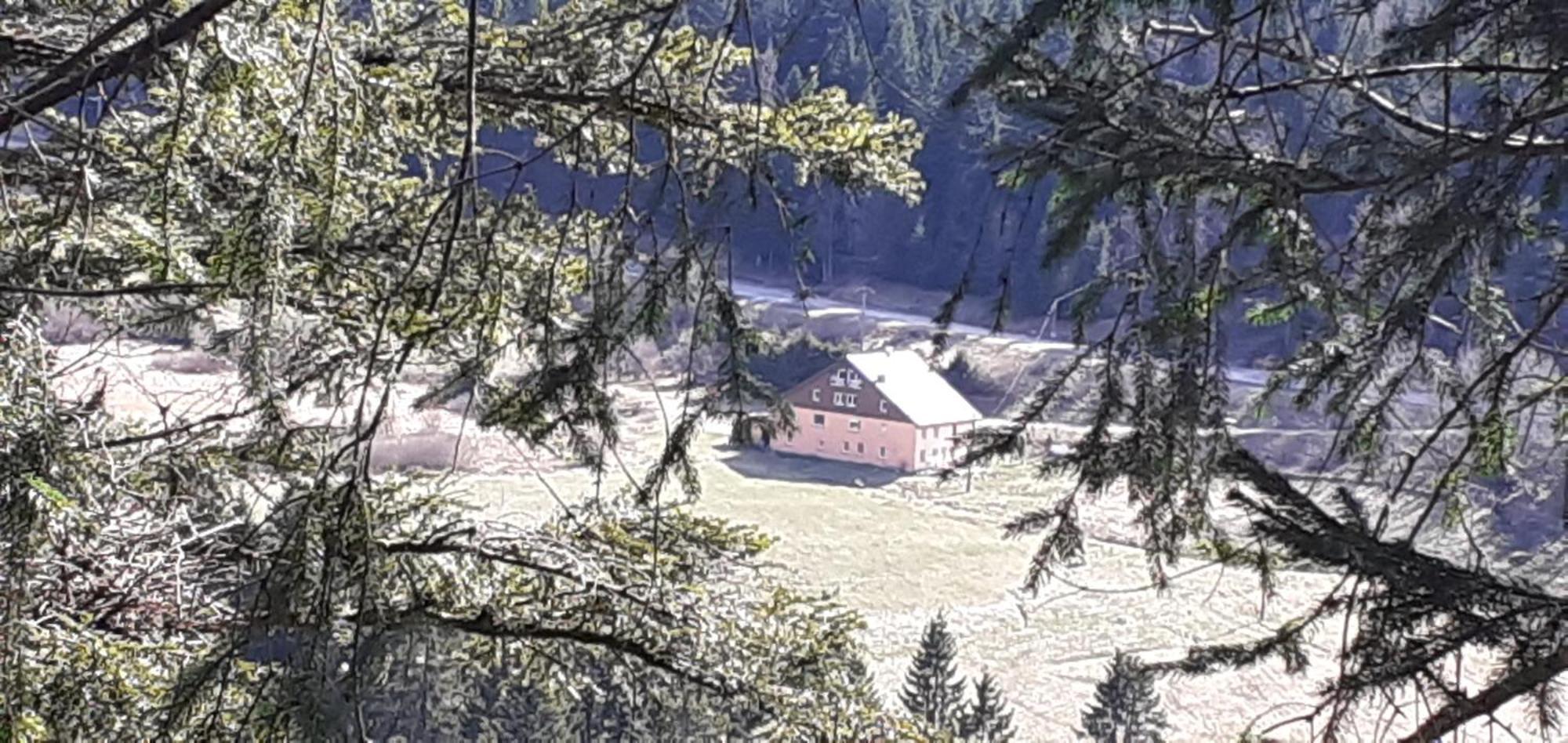 Domaine Des Hauts Viaux La Bresse Exteriör bild