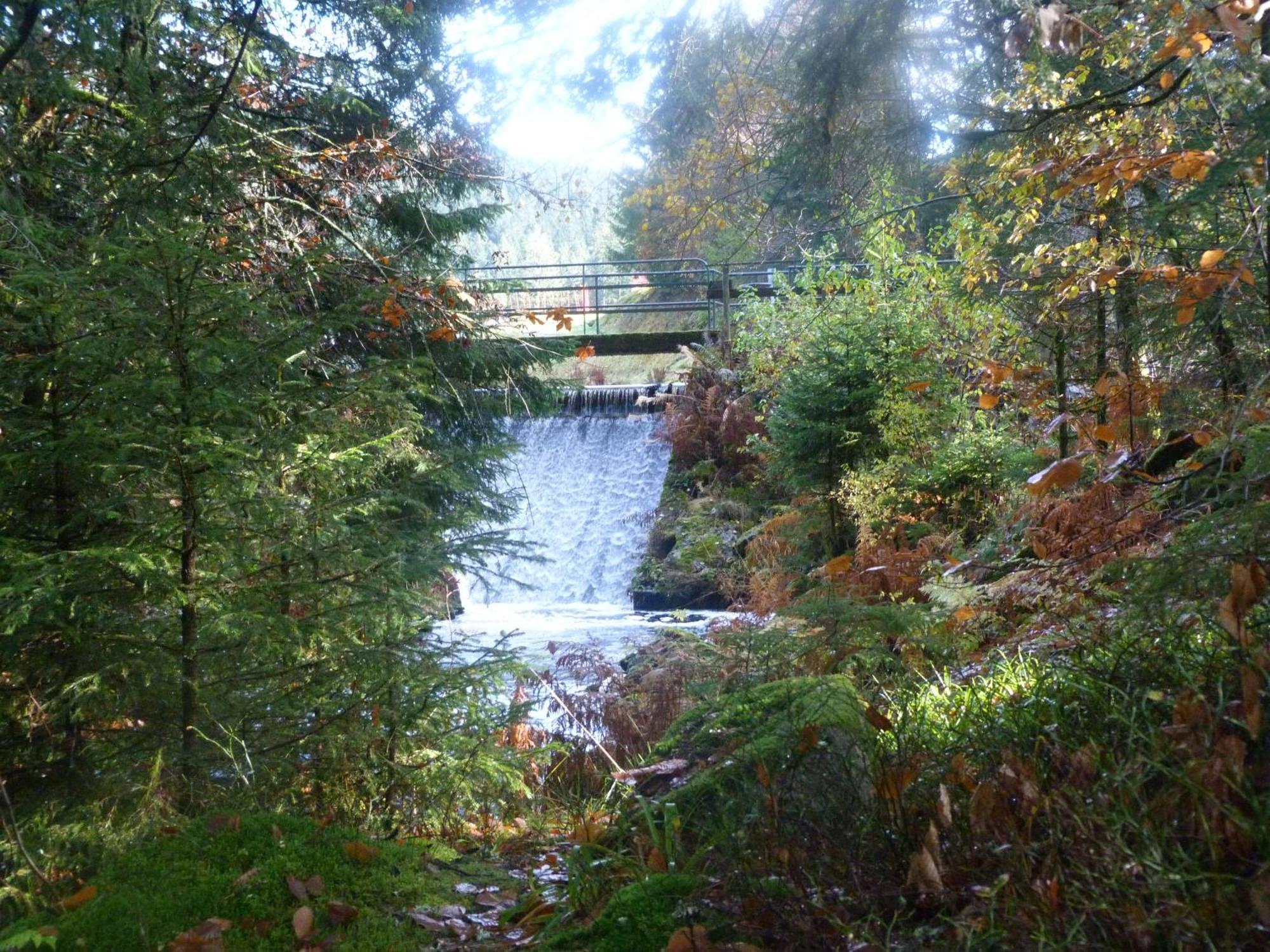 Domaine Des Hauts Viaux La Bresse Exteriör bild