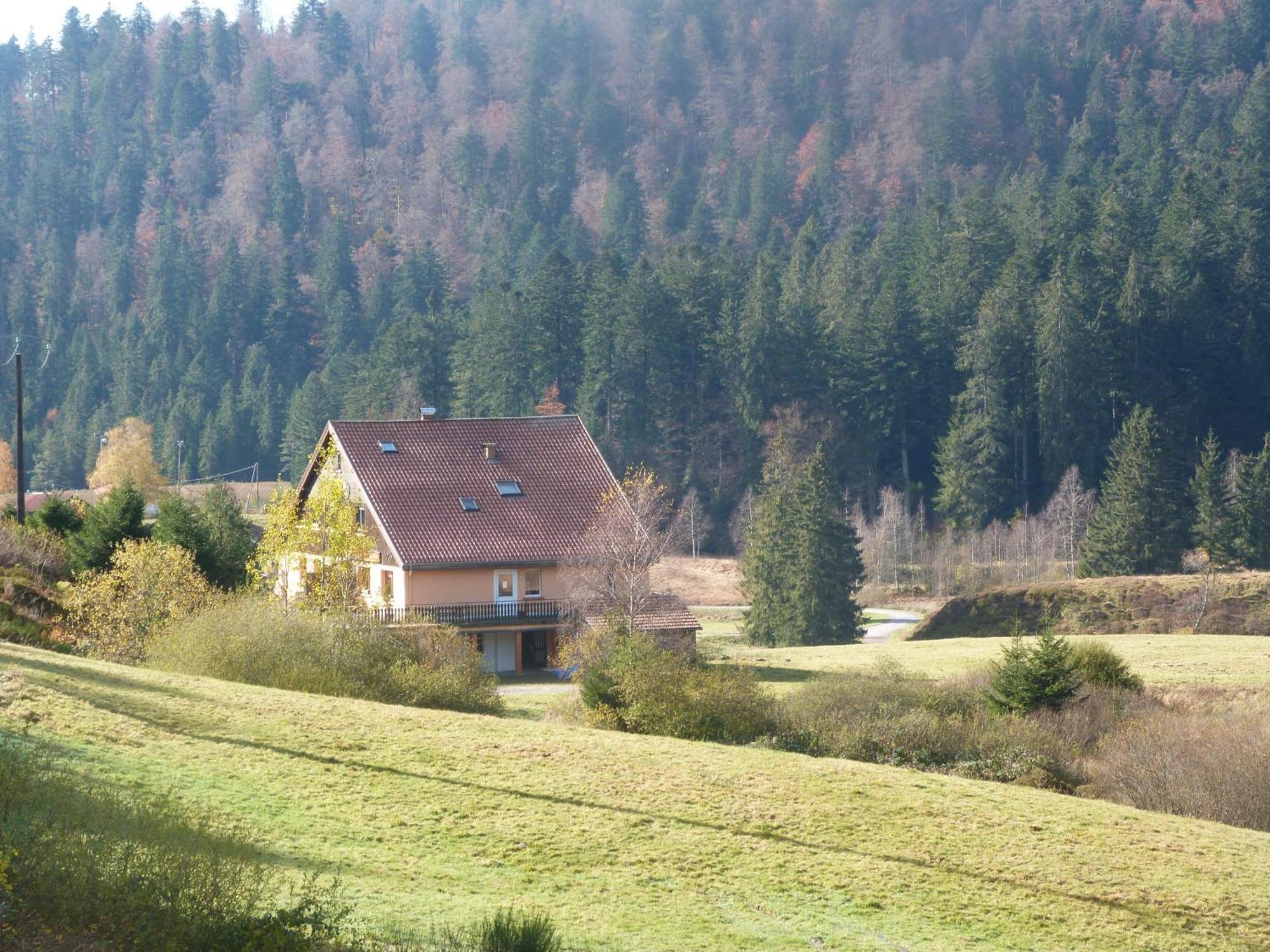 Domaine Des Hauts Viaux La Bresse Exteriör bild