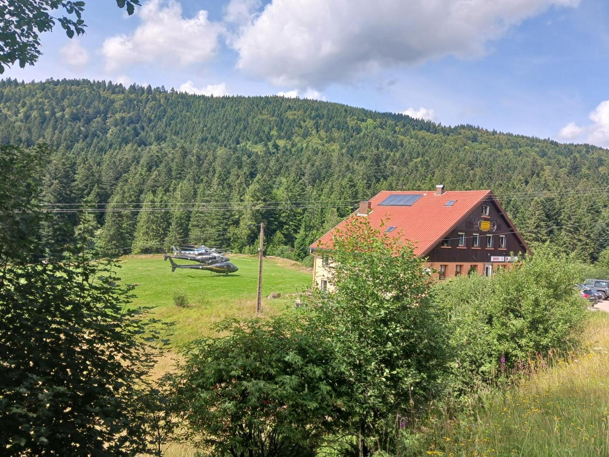 Domaine Des Hauts Viaux La Bresse Exteriör bild