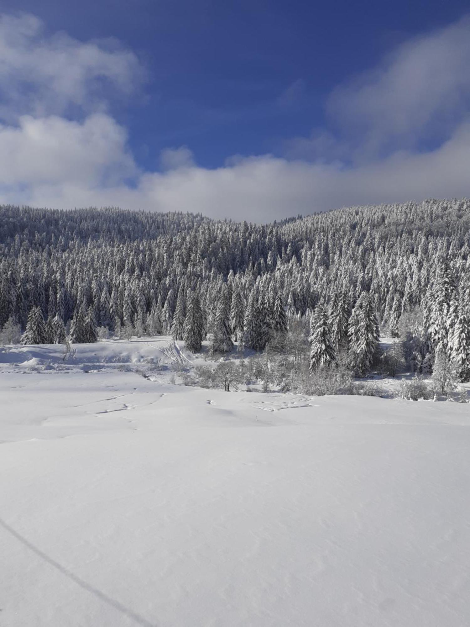 Domaine Des Hauts Viaux La Bresse Exteriör bild