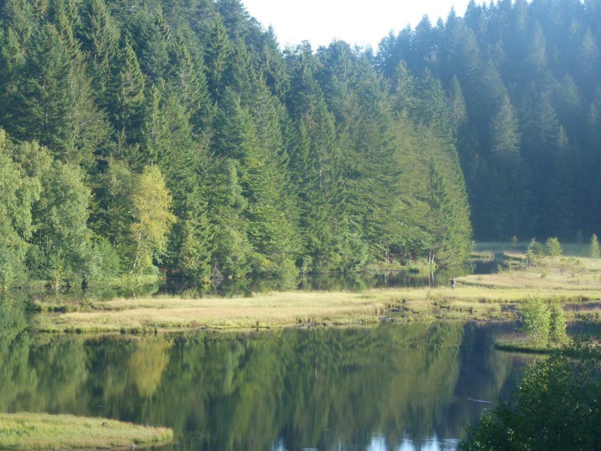 Domaine Des Hauts Viaux La Bresse Exteriör bild