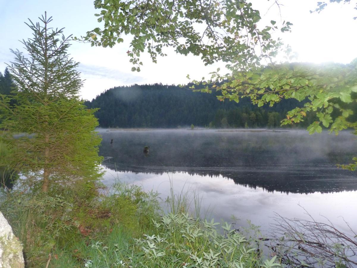 Domaine Des Hauts Viaux La Bresse Exteriör bild