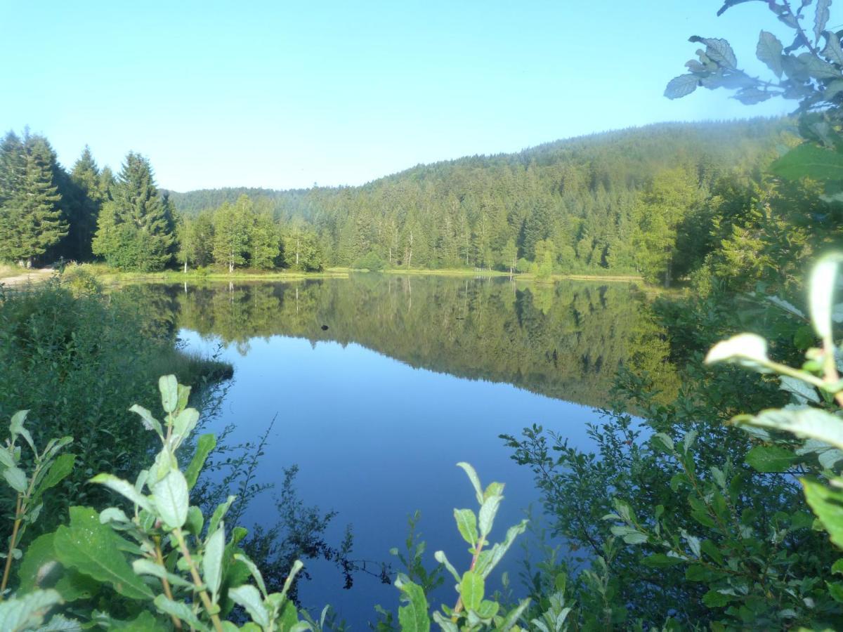 Domaine Des Hauts Viaux La Bresse Exteriör bild